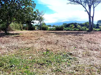 Terrain, 2 915 m²