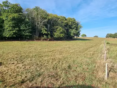 Terrain, 3 002 m²