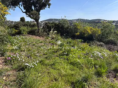 Terrain, 644 m²