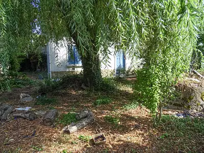 Maison, 37 m²