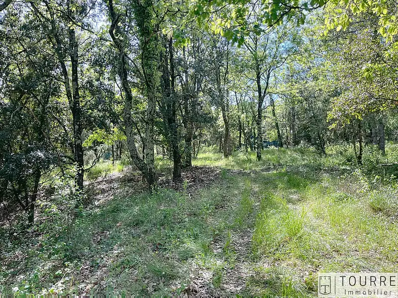 Terrain, 4 376 m²