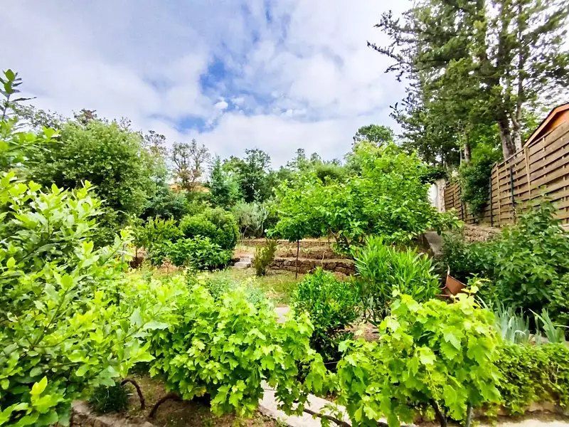 Terrain, 705 m²