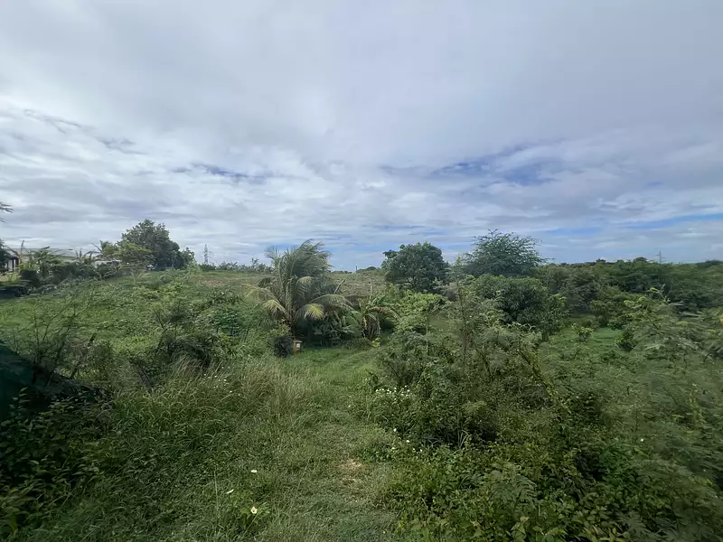 Terrain, 779 m²