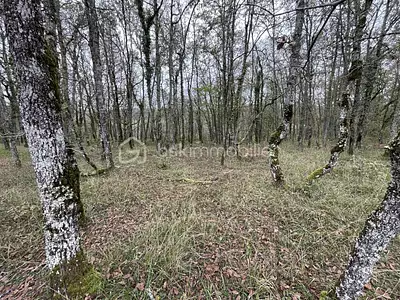 Terrain, 2 500 m²
