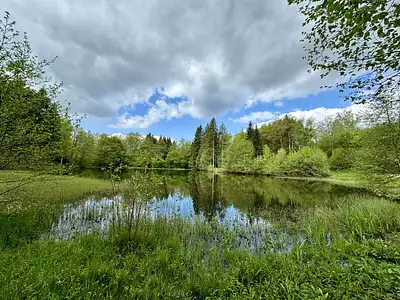 Terrain, 17 892 m²