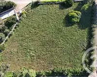 Terrain