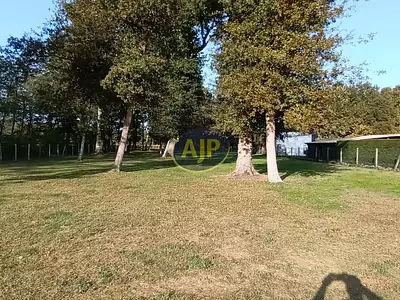 Maison, 200 m²
