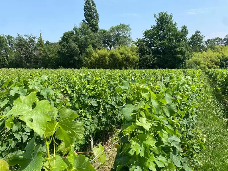 Maison, 155 m²