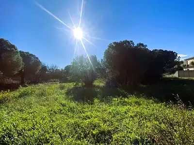 Terrain