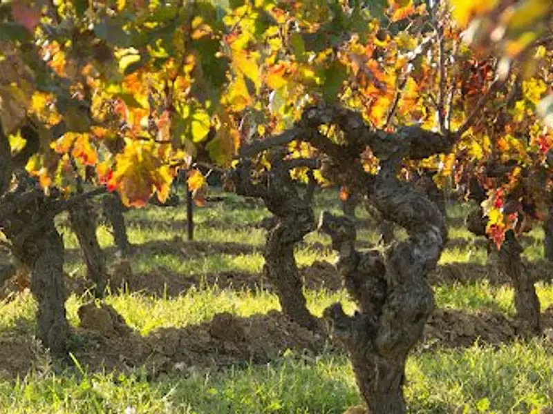 Terrain, 318 470 m²