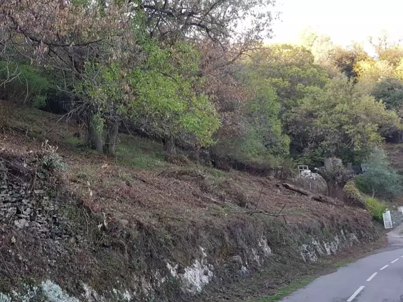 Terrain, 2 378 m²
