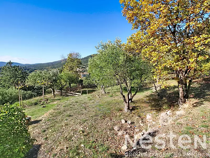Terrain, 6 551 m²