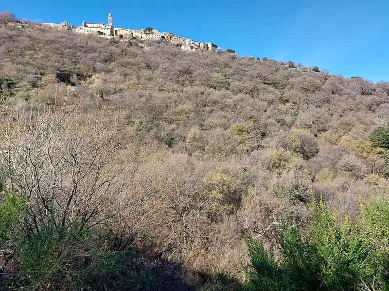 Terrain, 3 646 m²