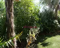 Appartement, 47,05 m²