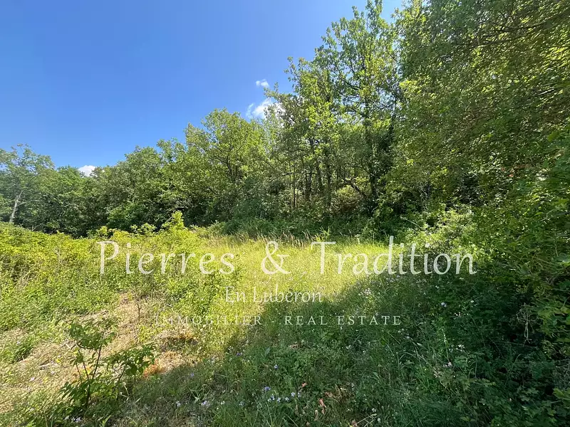 Terrain, 13 747 m²
