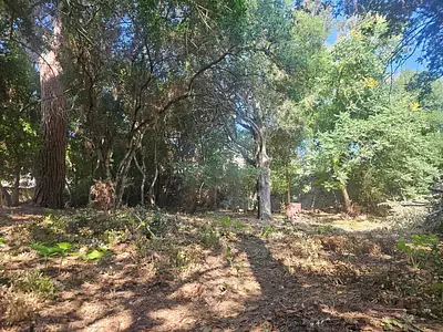 Terrain, 950 m²