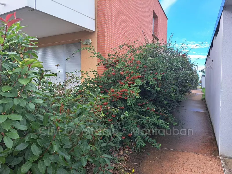 Appartement, 42,49 m²