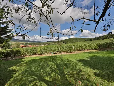 Maison, 238 m²