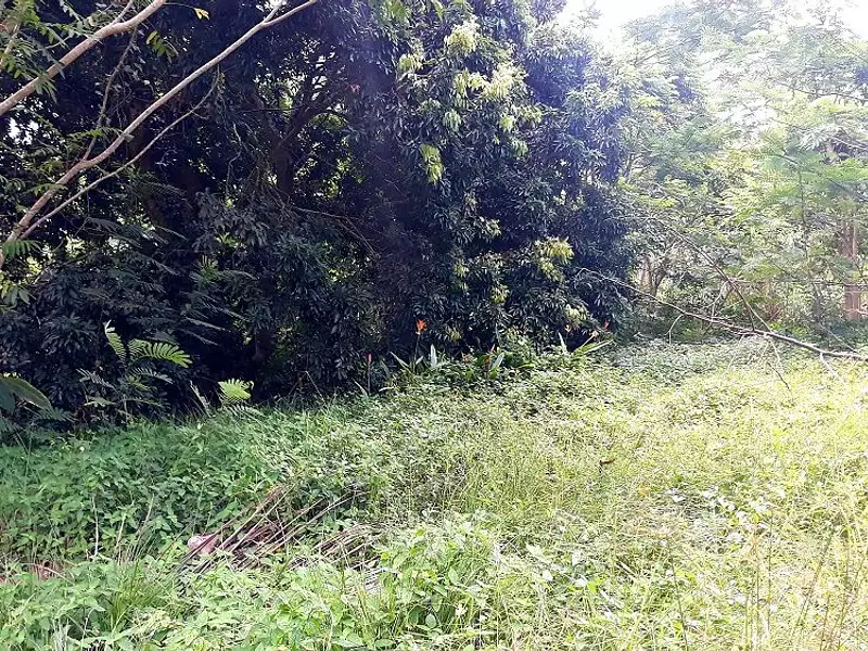 Terrain, 3 646 m²