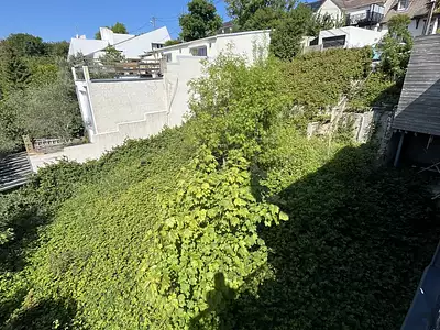 Terrain, 269 m²