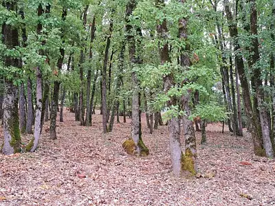 Terrain, 4 745 m²