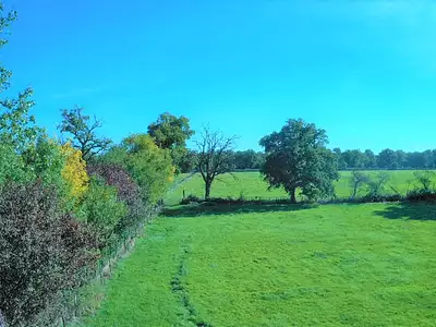 Terrain, 4 000 m²