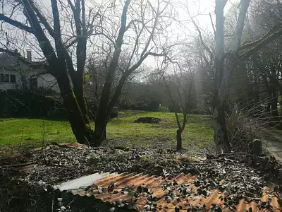 Terrain, 1 215 m²