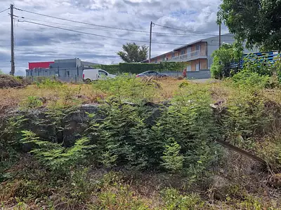 Terrain