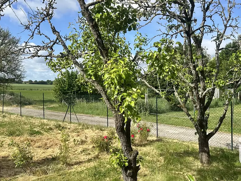 Maison, 137 m²