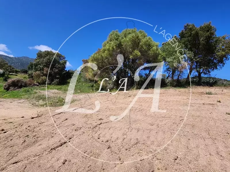 Terrain, 1 037,33 m²