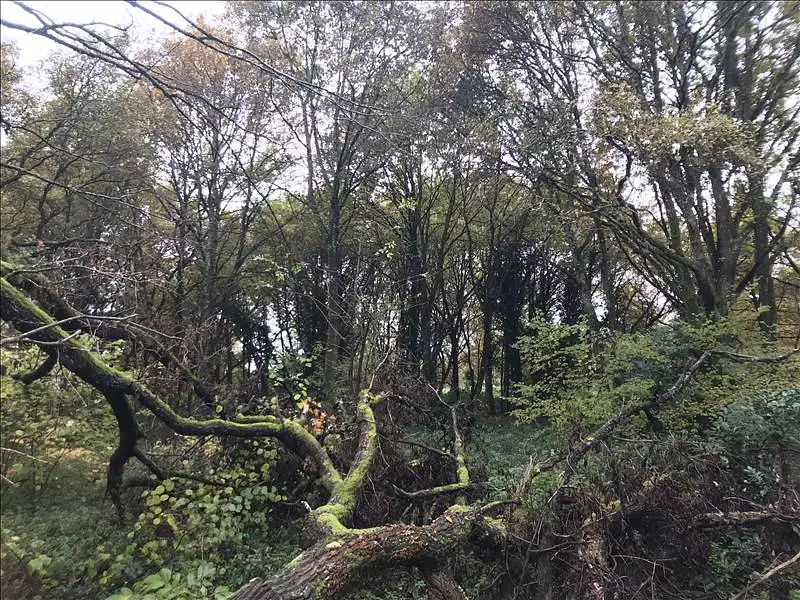 Terrain, 6 513 m²