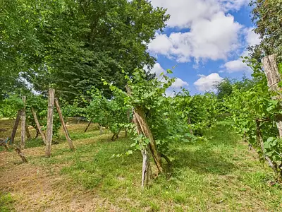 Maison, 154 m²
