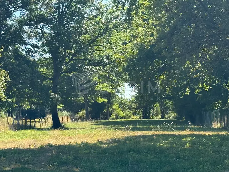 Terrain, 2 180 m²