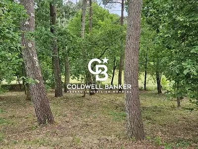 Terrain, 1 248 m²