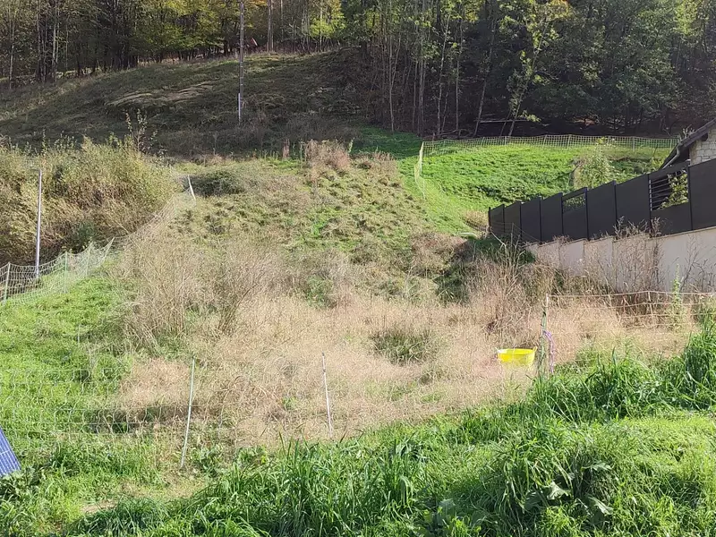 Terrain, 539 m²