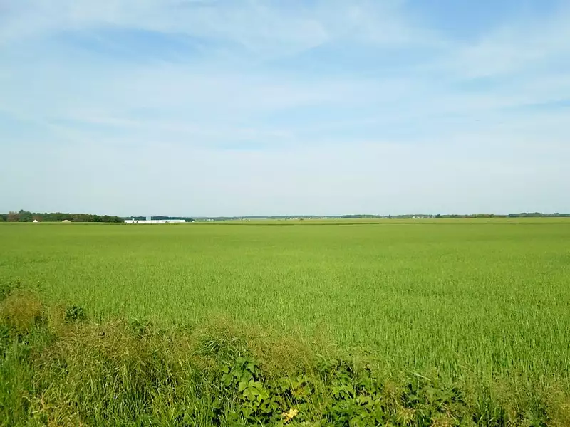 Terrain, 1 148 m²