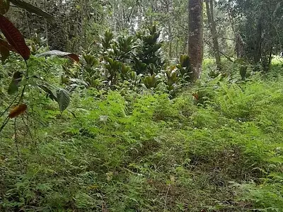 Terrain, 23 000 m²