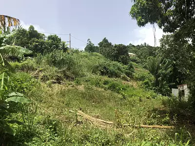 Terrain, 709 m²