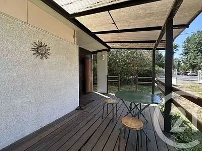 Terrain