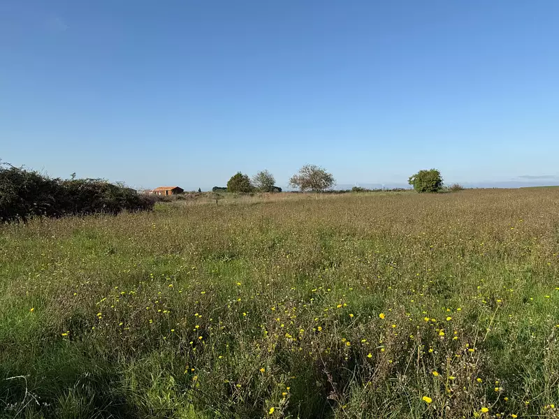 Terrain, 6 804 m²
