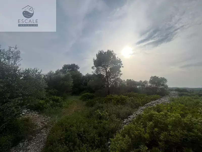 Terrain, 6 091 m²