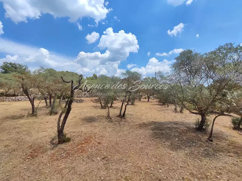 Terrain, 4 768 m²