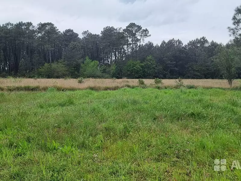 Terrain, 650 m²