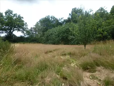 Terrain, 2 066 m²