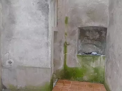 Appartement, 36 m²