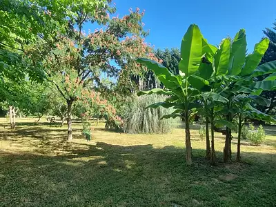 Maison, 320 m²
