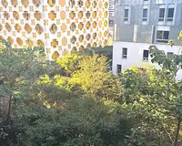 Appartement, 24,05 m²