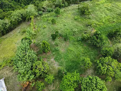 Terrain, 1 500 m²