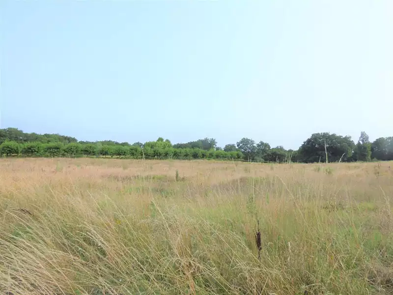 Terrain, 2 802 m²