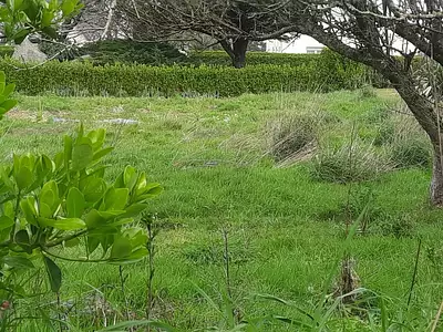Terrain, 913 m²